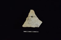 藏品(陶片)的圖片